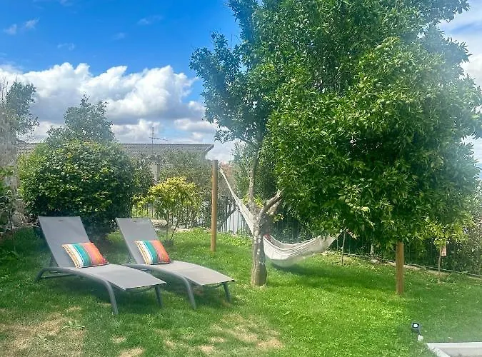 Casa Da Zefinha - Villa, Em Cinfaes, No Douro Lejlighed Cinfães