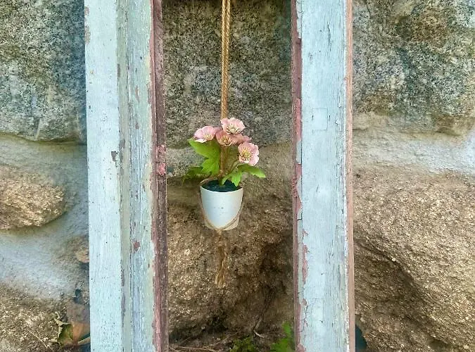 Lejlighed Casa Da Zefinha - Villa, Em Cinfaes, No Douro *